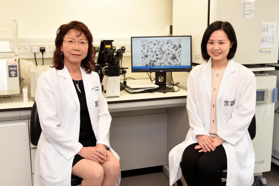 Professor Leung Suet-yi (left) and Professor Helen Yan Hoi-ning analysed genetic mutations in normal stomach lining tissue using advanced genome sequencing, contributing to a mutational map of the gastrointestinal tract; and investigated intestinal metaplasia, a pre-cancerous stage that marks an increased risk of developing stomach cancer.
 